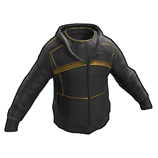 Black Gold Hoodie