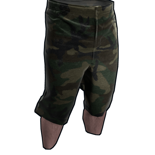 Camo Shorts