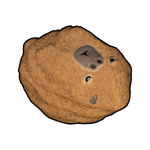 Capybara Rock