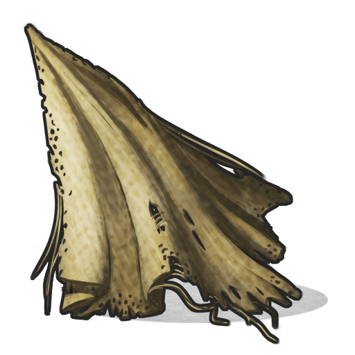 Cloth