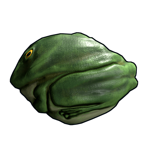 Frog Rock