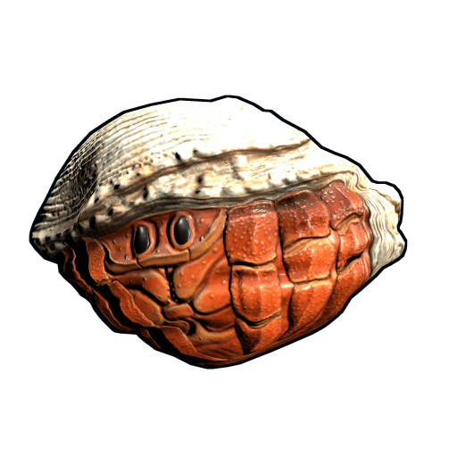 Hermit Crab Rock