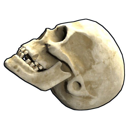 Skull