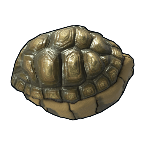 Tortoise Rock